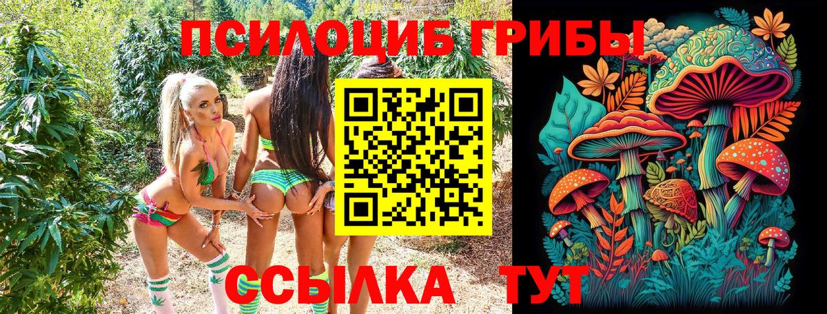 Галлюциногенные грибы Psilocybe Верхняя Пышма