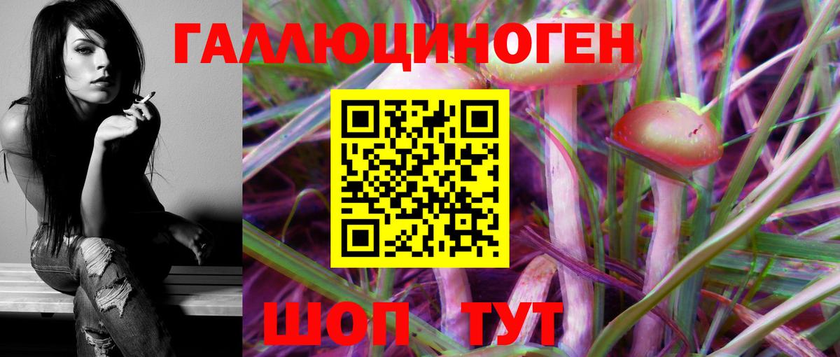 Верхняя Пышма  Галлюциногенные грибы MAGIC MUSHROOMS  Вход с VPN  купить   Псилоцибиновые грибы Psilocybine cubensis 